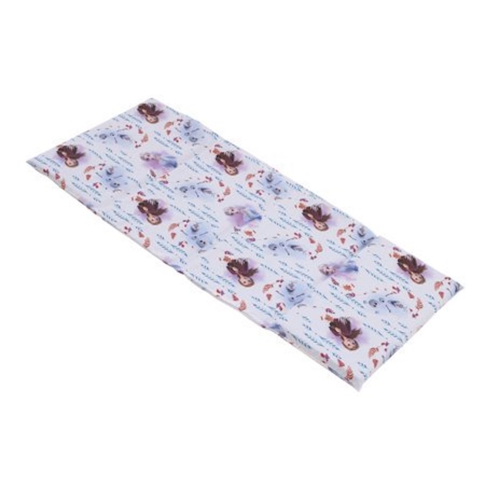 Frozen 2 Preschool Nap Pad Sheet